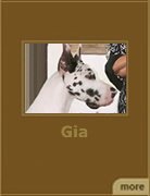 Our Dog 4