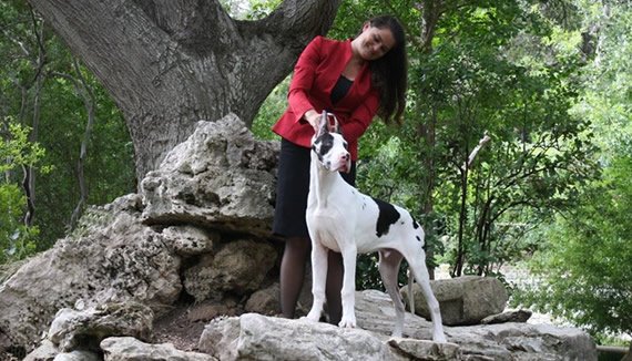 our dogs4