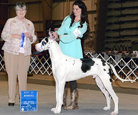 A winner at 10 months