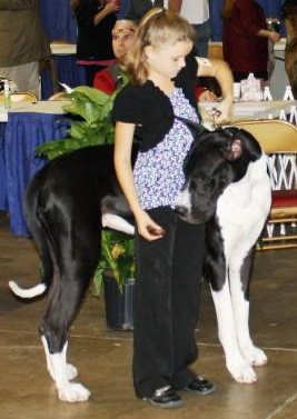 Holly, one of our puppies